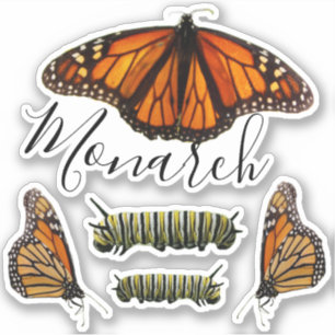 Sticker Monarque Papillon et Caterpillar Set