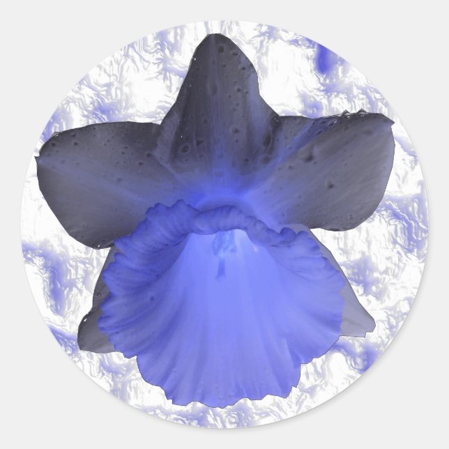 Sticker Moody Blue Driding Daffodil (Devant)