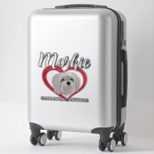 Morkie - Petit chien, grande attitude - 3