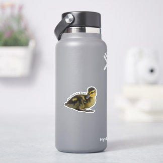 Sticker Nap. Quack. Manger. Recommencer. - Mallard Ducklin