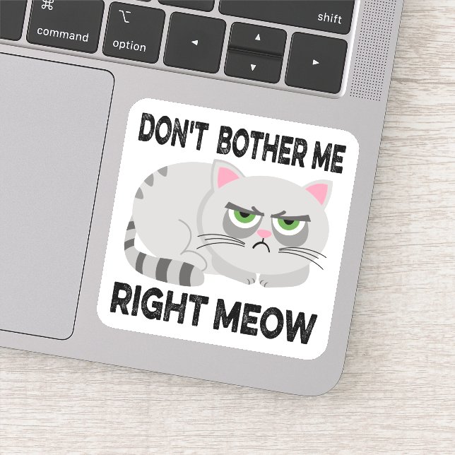 Sticker NE M'INQUIÈTEZ PAS DROITE MEOW - Drôle Lazy Chat S (Détail)