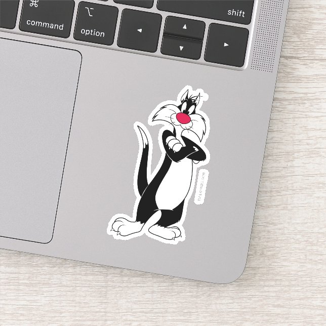 Sticker Nez rouge SYLVESTER™ (Détail)