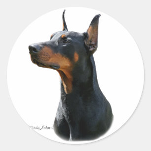 Sticker noir tête Dobermann Pinscher