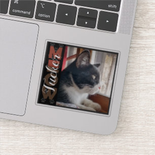 Sticker Nom et photo personnalisés du chat pour animaux de