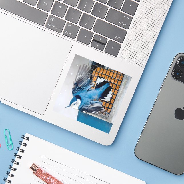 Sticker Nuthatch à poitrine blanche en neige - Photo origi (Ordinateur portable avec iPhone)