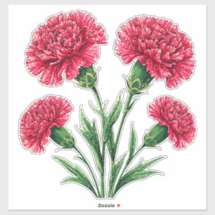 Sticker Œillets roses vibrants avec des tiges vertes