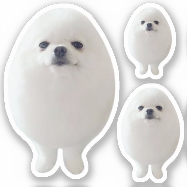 Sticker Oeuf Chien mème (Recto)