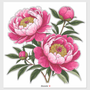 Sticker Œuvre d'art florale Pivoine Rose Vibrante