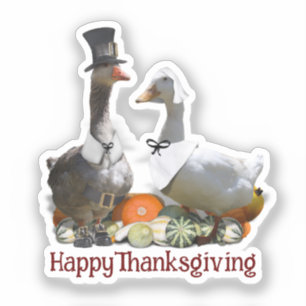 Sticker Oie de pèlerin Canard de Thanksgiving 