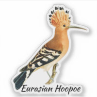 Oiseau huppé eurasien, étiqueté