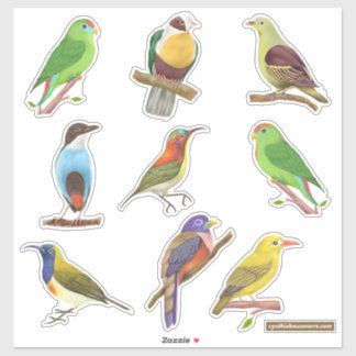 Sticker Oiseaux indigènes/endémiques philippins