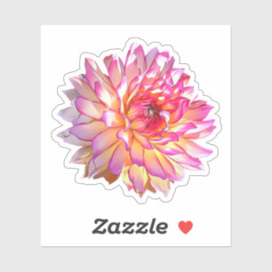 Sticker Ombre pâle Orange Rose Giant Dahlia Fleur