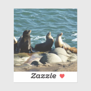 Sticker Otaries de San Diego
