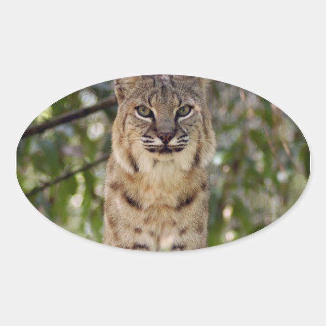 Sticker Ovale 3,5 x 3,5 Modèles - Aimant ovale (Devant)