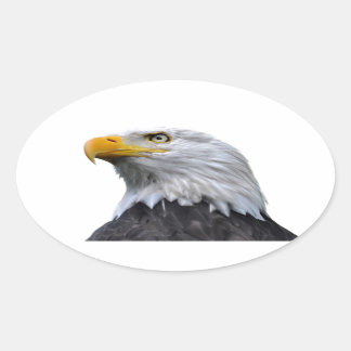 Sticker Ovale Aigle de Bald