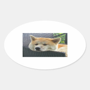 Sticker Ovale akita-chilling.png