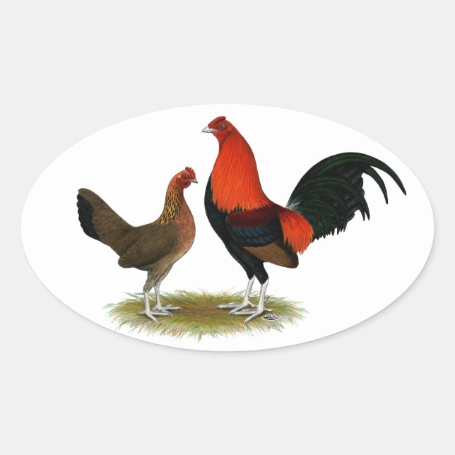 Sticker Ovale Ancien jeu anglais Bantams : BB Red Pair (Devant)