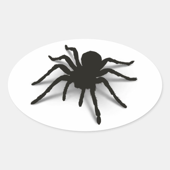 Sticker Ovale Araignée 3D (Devant)
