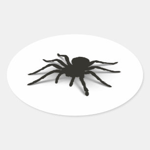 Sticker Ovale Araignée 3D