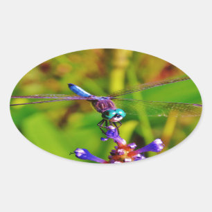 Sticker Ovale Arc en ciel libellule et fleur