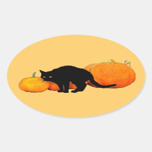 Sticker Ovale Archer Chat noir avec Citrouilles