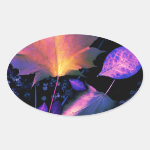 Sticker Ovale Autumn Leaves
