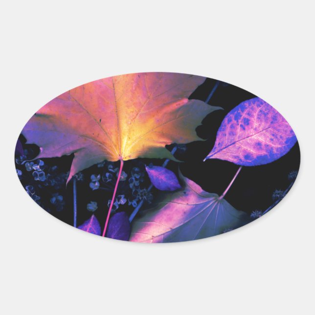Sticker Ovale Autumn Leaves (Devant)
