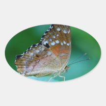 Beau Papillon Danaus Plexippus sur la feuille.