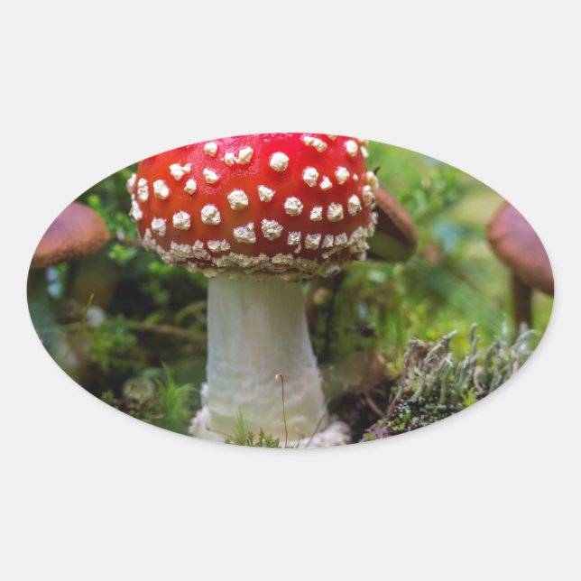 Sticker Ovale Beauté d'automne (Devant)