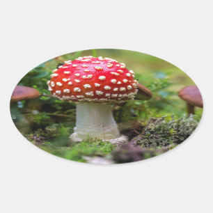 Sticker Ovale Beauté d'automne