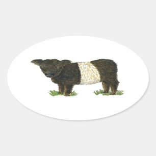 Sticker Ovale 'Beltie'