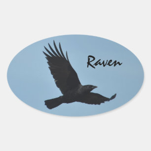 Sticker Ovale Black Raven Flying in Blue Sky Photo