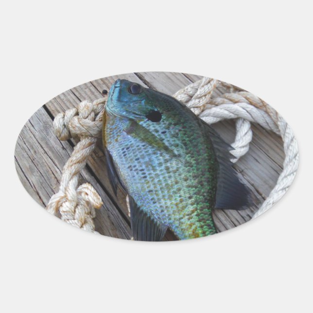 Sticker Ovale bluegill sur quai (Devant)