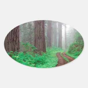 Sticker Ovale Bois à bois
