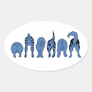 Sticker Ovale Boutons de chien bleu