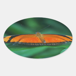 Sticker Ovale Bright Orange and Black Butterfly on Leaf