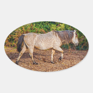 Sticker Ovale Bucskin Nouvelle Forêt Pony Faune