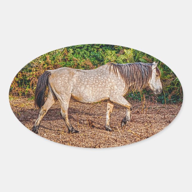 Sticker Ovale Bucskin Nouvelle Forêt Pony Faune (Devant)