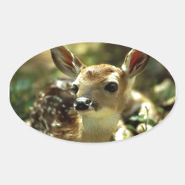 Sticker Ovale Cadeaux de cerfs de bébés