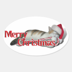Sticker Ovale Cali, le Sucre de canne Kitty