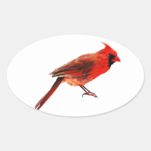Sticker Ovale Cardinal(s)