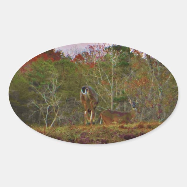 Sticker Ovale Cerf avec ciel bleu rose (Devant)