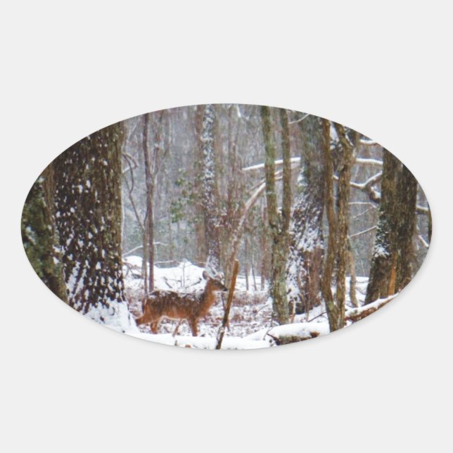 Sticker Ovale Cerf dans la chute de neige (Devant)