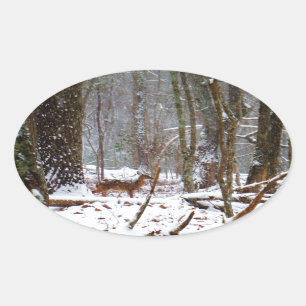 Sticker Ovale Cerf dans la chute de neige