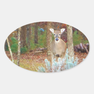 Sticker Ovale Cerf de Noël