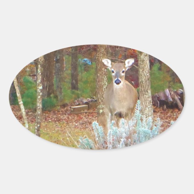 Sticker Ovale Cerf de Noël (Devant)