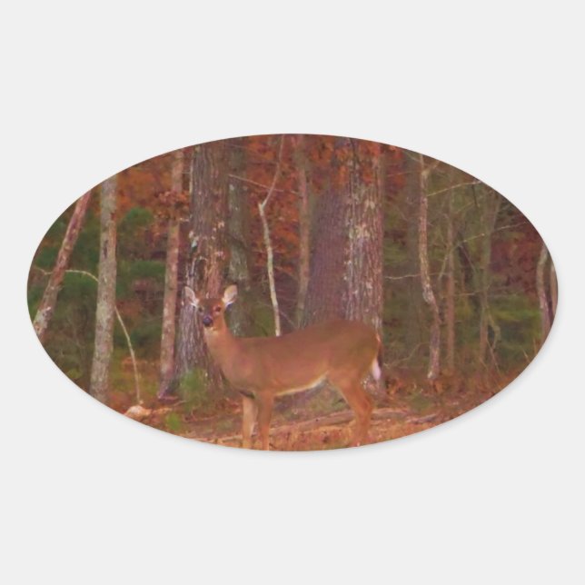 Sticker Ovale Cerf, Grass vert rouge et feuilles d'or (Devant)