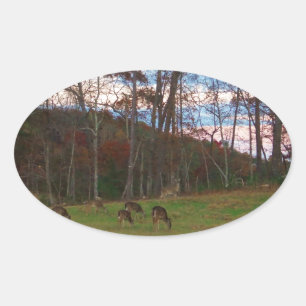 Sticker Ovale Champ de cerf et un SunSet rose
