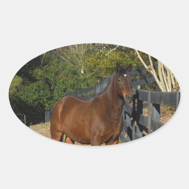 Sticker Ovale Cheval Brown contre une clôture (Devant)