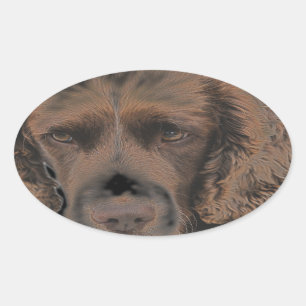 Sticker Ovale Chiens Springer anglais
